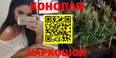 индика Свободный