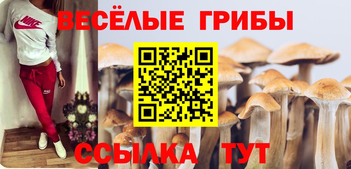 Псилоцибиновые грибы Psilocybe Орехово-Зуево